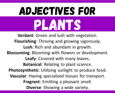 20+ Best Words to Describe Plants, Adjectives for Plants