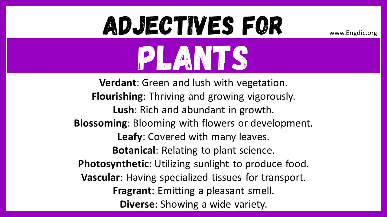 Adjectives for Plants