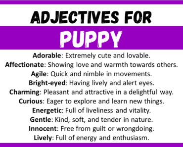 20+ Best Words to Describe Puppy, Adjectives for Puppy