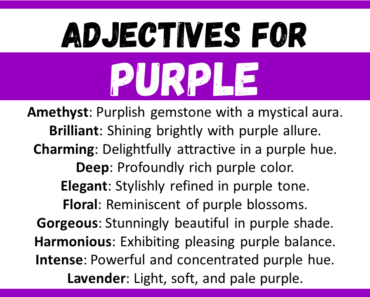 20+ Best Words to Describe Purple, Adjectives for Purple