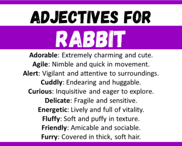 20+ Best Words to Describe Rabbit, Adjectives for Rabbit