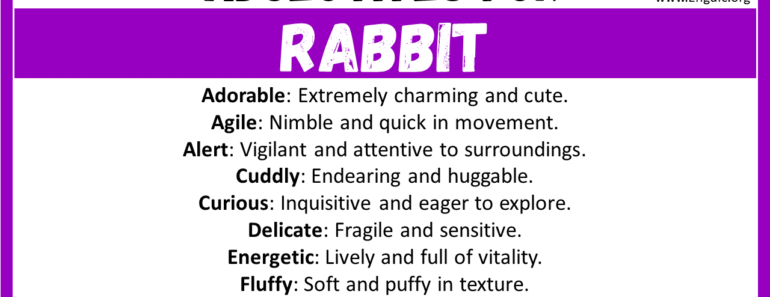 20+ Best Words to Describe Rabbit, Adjectives for Rabbit