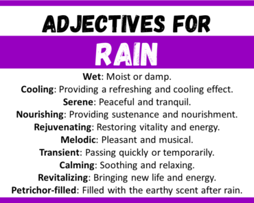 20+ Best Words to Describe a Rain, Adjectives for Rain