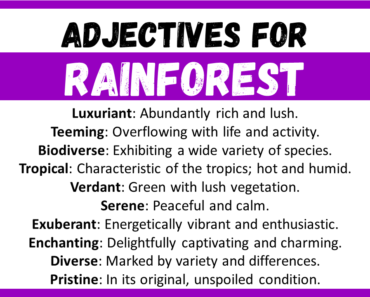 20+ Best Words to Describe Rainforest, Adjectives for Rainforest