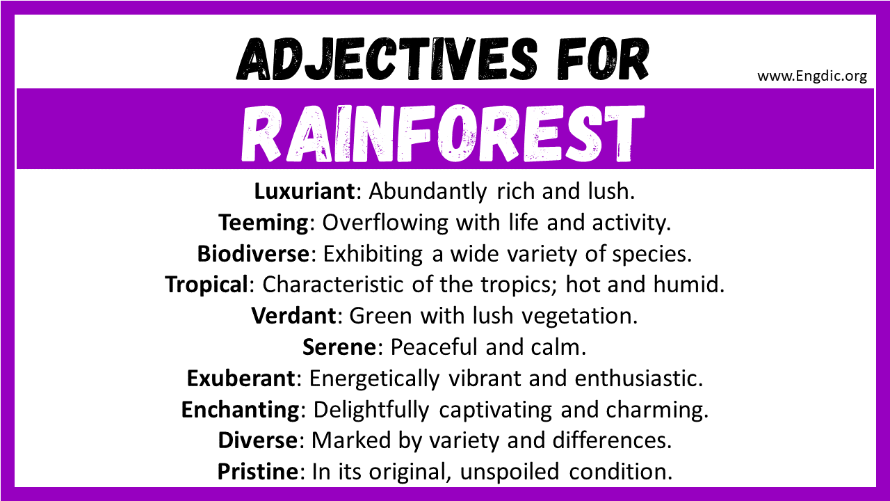 Adjectives for Rainforest