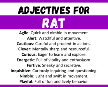 20+ Best Words to Describe Rat, Adjectives for Rat
