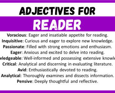 20+ Best Words to Describe Reader, Adjectives for Reader