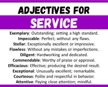 20+ Best Words to Describe Service, Adjectives for Service