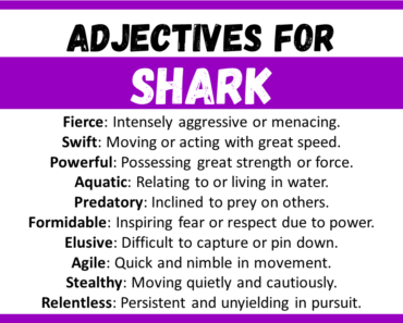 20+ Best Words to Describe Shark, Adjectives for Shark