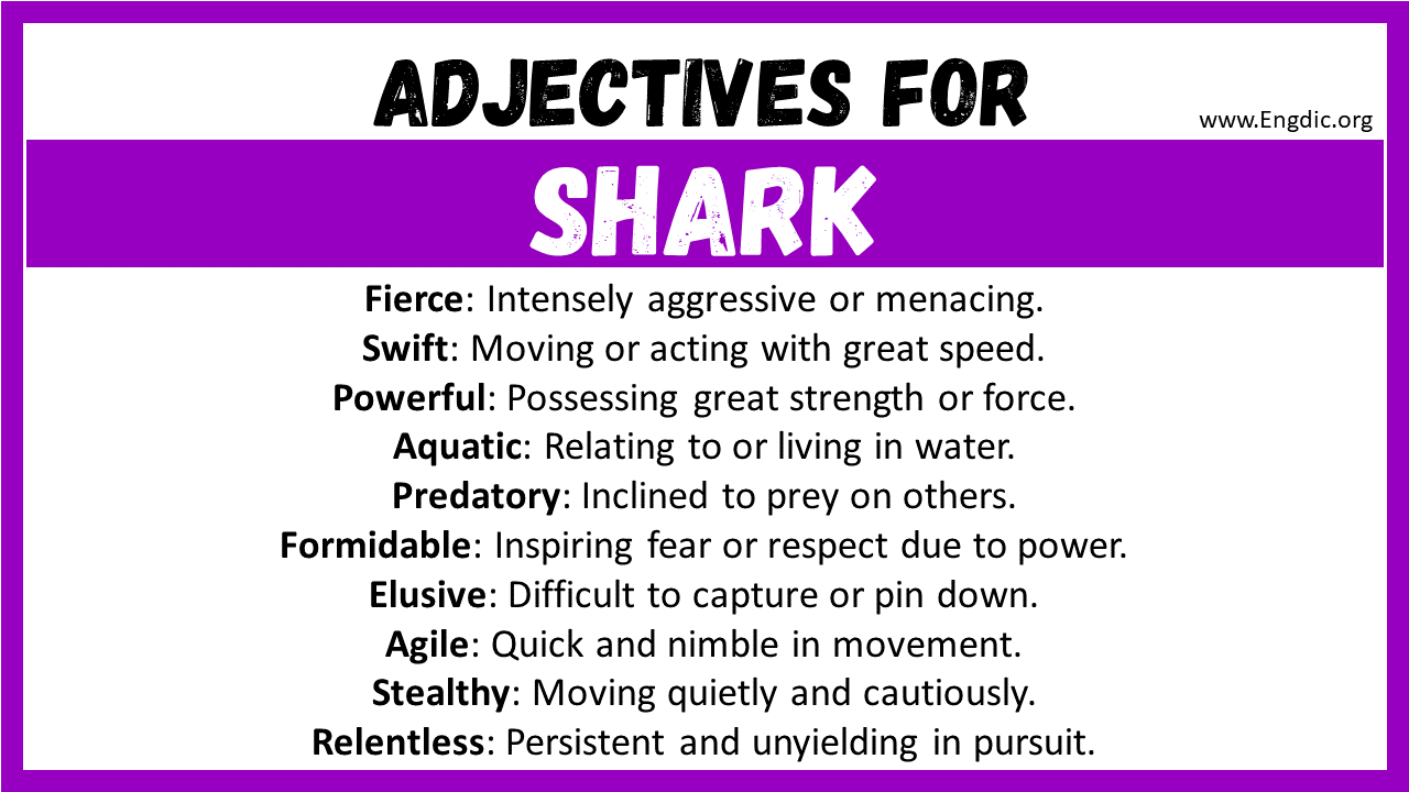 Adjectives for Shark