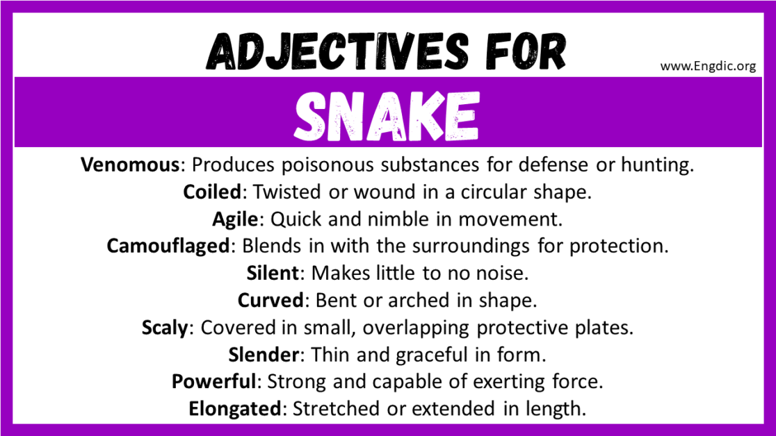 how to describe a snake in creative writing