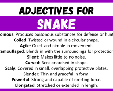 20+ Best Words to Describe a Snake, Adjectives for Snake