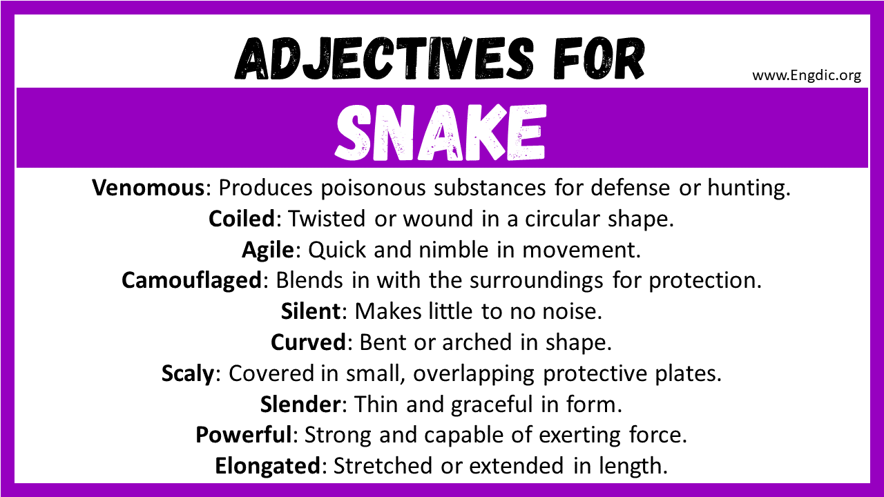 Adjectives for Snake