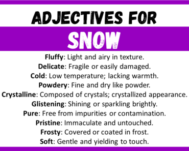 20+ Best Words to Describe Snow, Adjectives for Snow