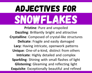 20+ Best Words to Describe Snowflakes, Adjectives for Snowflakes