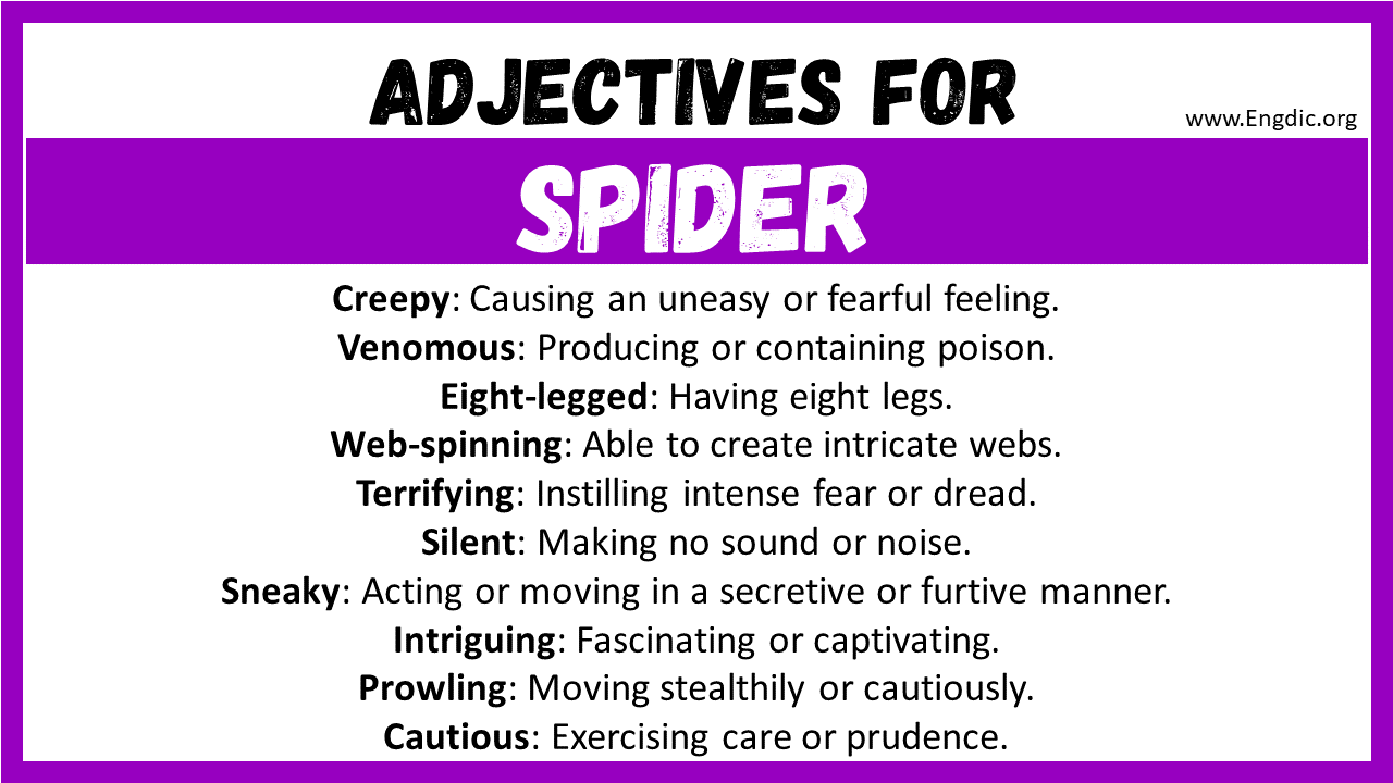 Adjectives for Spider