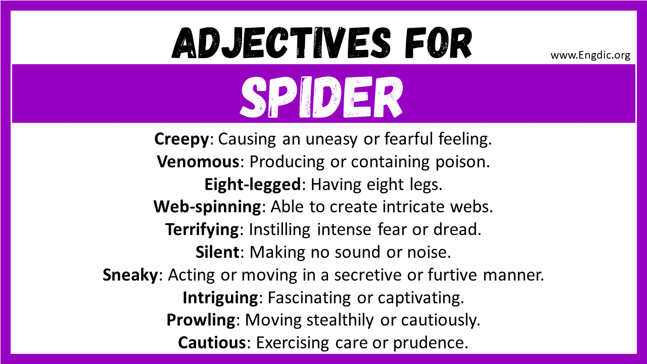 Adjectives For Spider Web