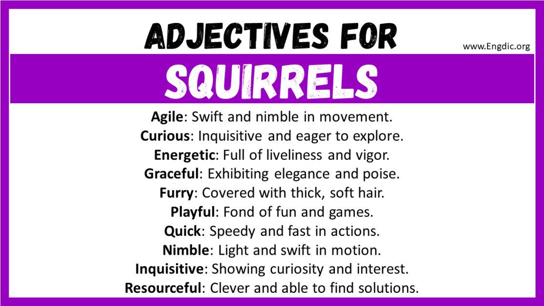 20+ Best Words to Describe Squirrels, Adjectives for Squirrels - EngDic