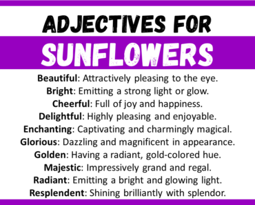 20+ Best Words to Describe Sunflowers, Adjectives for Sunflowers