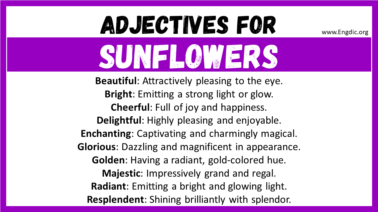 Adjectives for Sunflowers