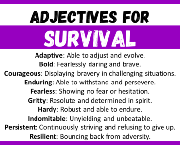 20+ Best Words to Describe Survival, Adjectives for Survival