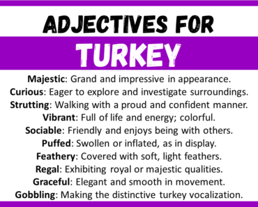 20+ Best Words to Describe Turkey, Adjectives for Turkey