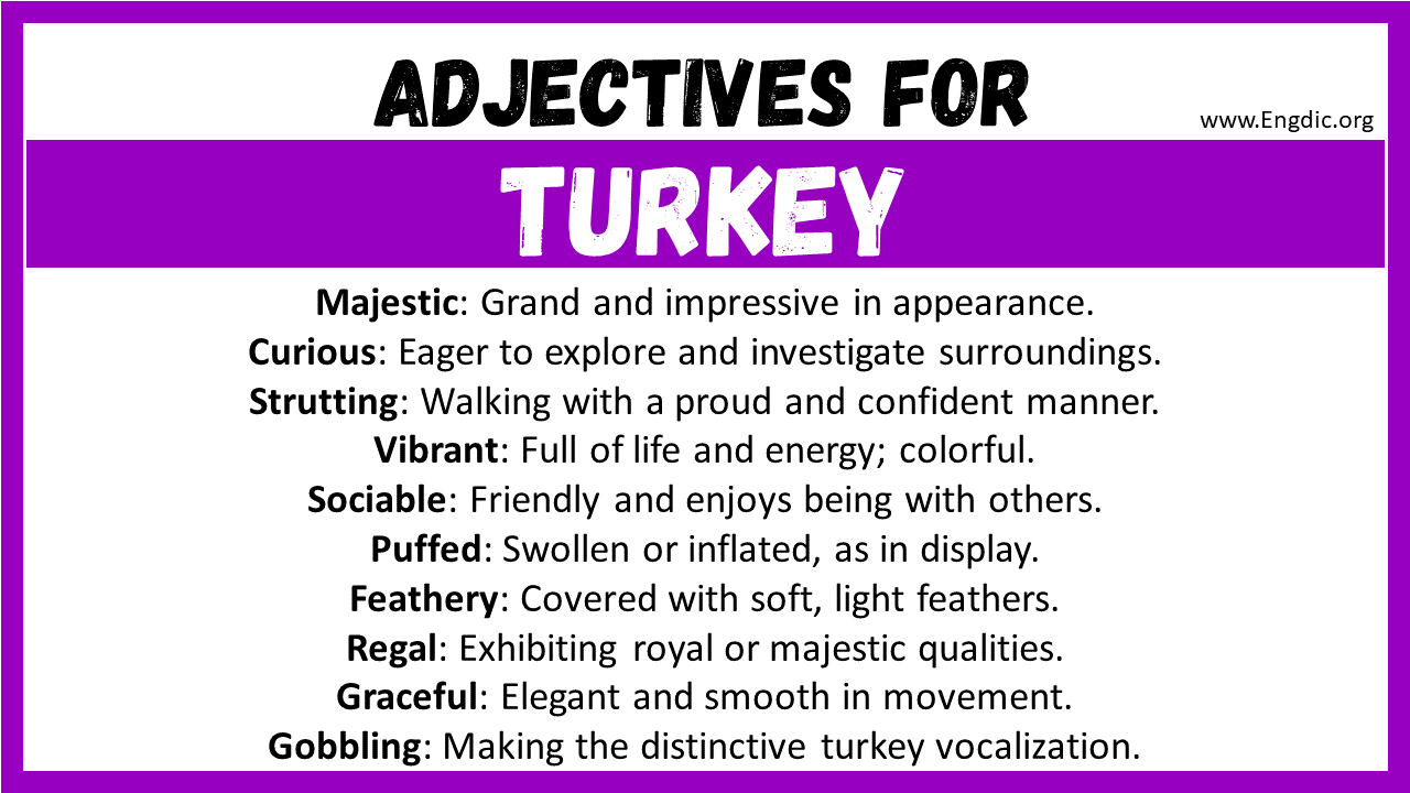 Adjectives for Turkey