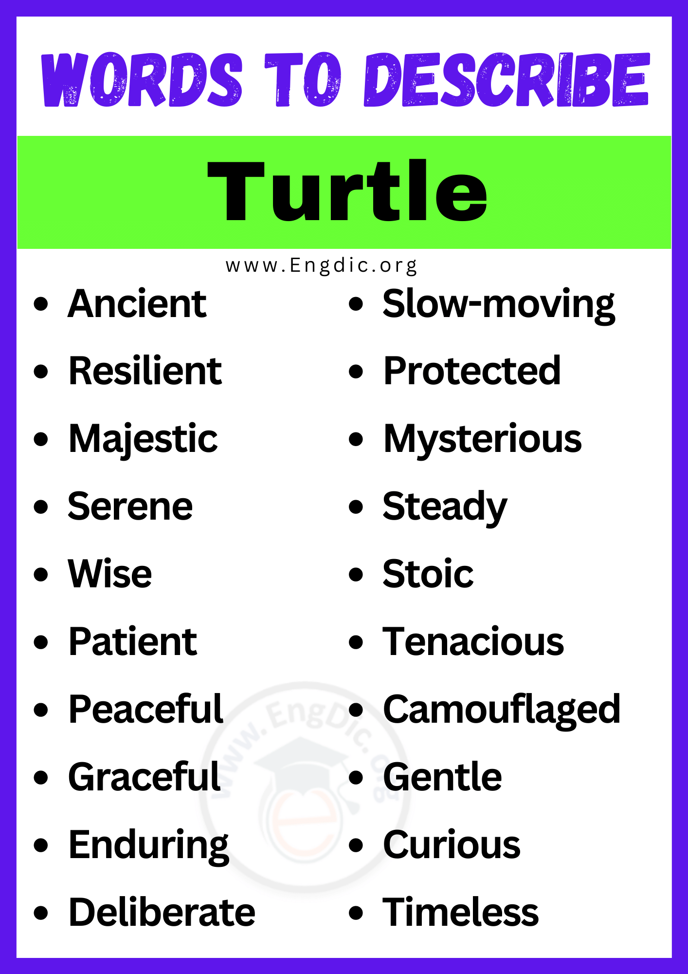 Adjectives for Turtle