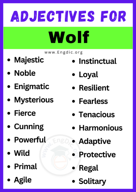 20+ Best Words to Describe a Wolf, Adjectives for Wolf - EngDic