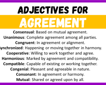 20+ Best Words to Describe a Agreement, Adjectives for Agreement