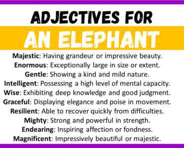 20+ Best Words to Describe An elephant, Adjectives for An elephant