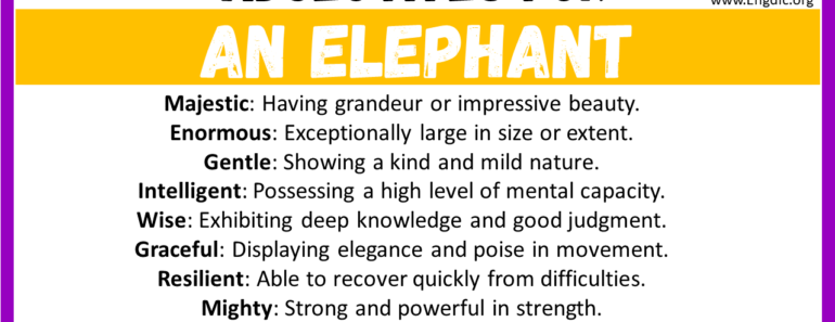 20+ Best Words to Describe An elephant, Adjectives for An elephant