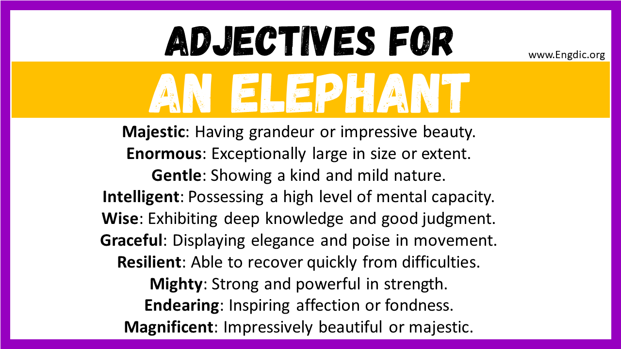 Adjectives words to describe An Elephant