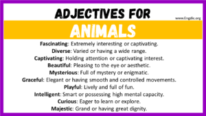 20+ Best Words to Describe Animals, Adjectives for Animals - EngDic