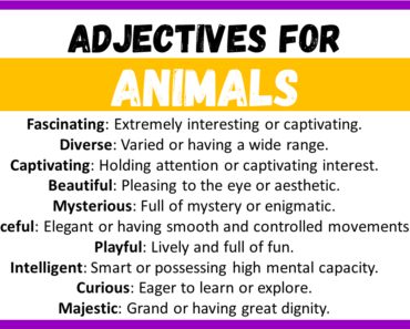 20+ Best Words to Describe Animals, Adjectives for Animals