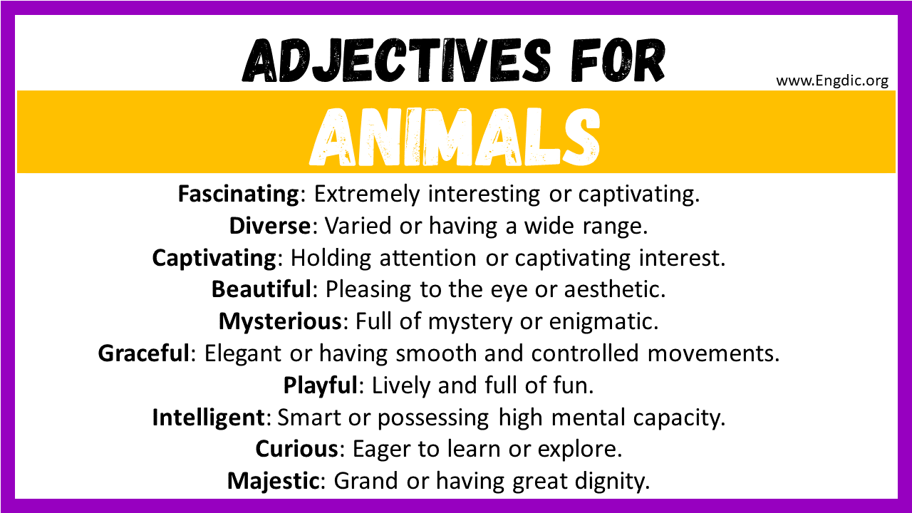 20 Best Words To Describe Animals Adjectives For Animals EngDic