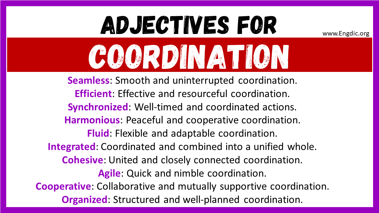 Adjectives words to describe Coordination