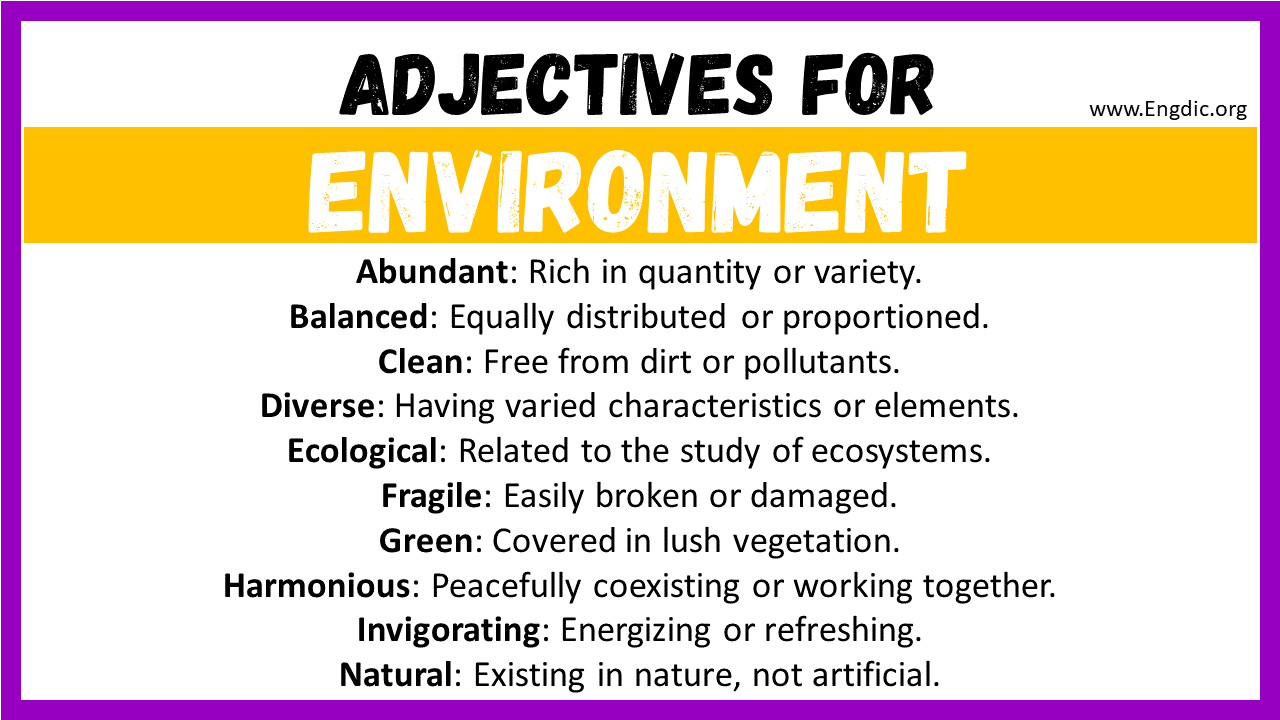 Adjectives words to describe Environment