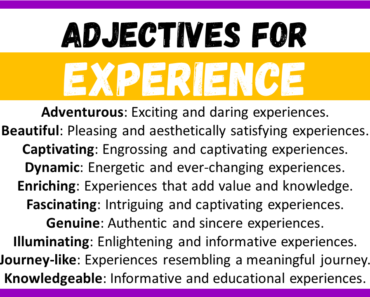 20+ Best Words to Describe Experience, Adjectives for Experience