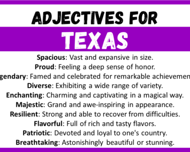 20+ Best Words to Describe a Texas, Adjectives for Texas