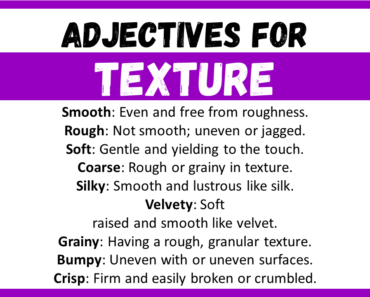 20+ Best Adjectives for Texture, Words to Describe a Texture