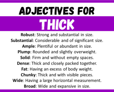 20+ Best Adjectives for Thick, Words to Describe a Thick