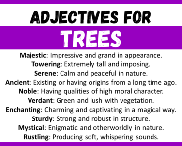 20+ Best Words to Describe a Trees, Adjectives for Trees