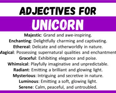 20+ Best Adjectives for Unicorn, Words to Describe a Unicorn