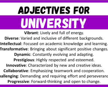 20+ Best Adjectives for University, Words to Describe a University