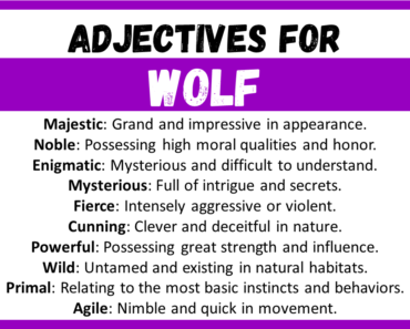 20+ Best Words to Describe a Wolf, Adjectives for Wolf