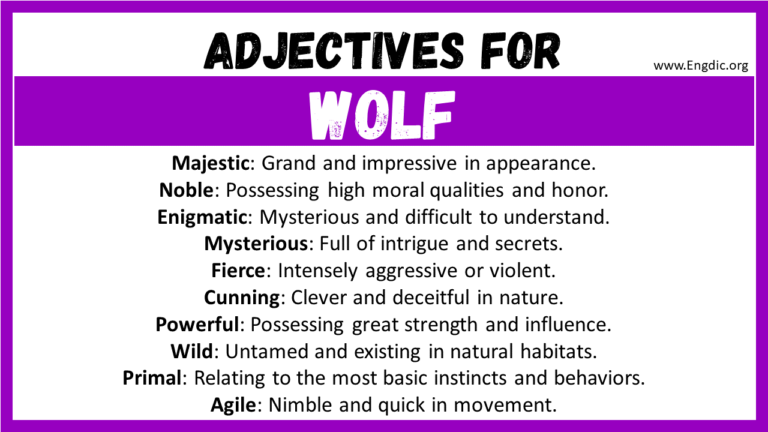 20+ Best Words to Describe a Wolf, Adjectives for Wolf - EngDic