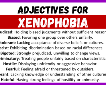 20+ Best Adjectives for Xenophobia, Words to Describe a Xenophobia