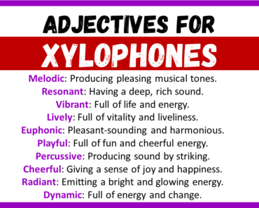 20+ Best Adjectives for Xylophones, Words to Describe a Xylophones
