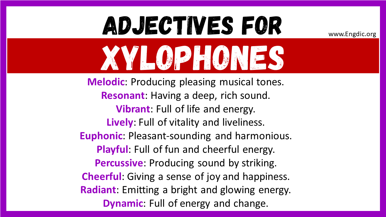Adjectives words to describe Xylophones